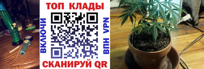 Магазин наркотиков Тихорецк Конопля  Alpha-PVP  ГАШИШ  Меф 