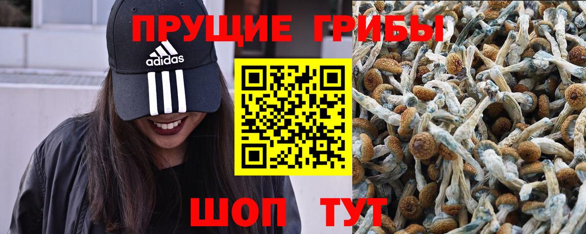 Псилоцибиновые грибы Magic Shrooms Тихорецк